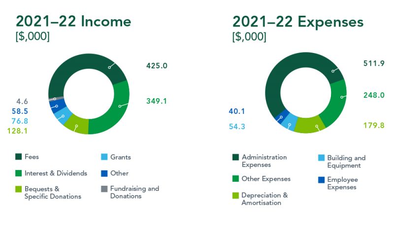 Foundation account summary